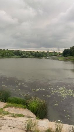 Кузьминские пруды #москва #июнь2025