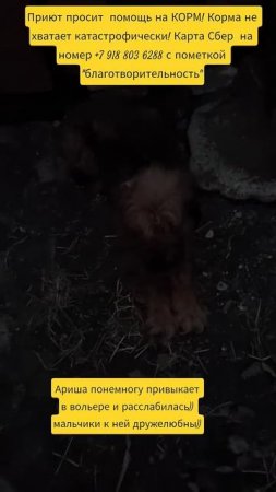 НАС100=99хвостиков+1человек!