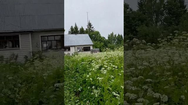 Дом