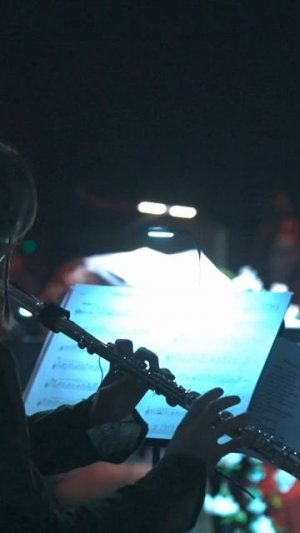 NELLA MUSICA ORCHESTRA «Симфомультимедия. Властелин Колец»