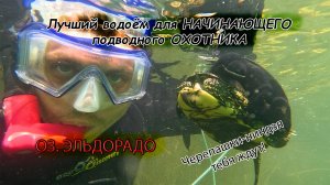 Эльдорадо для подводного ОХОТНИКА. Отчёт о водоёме. #рыбалка
