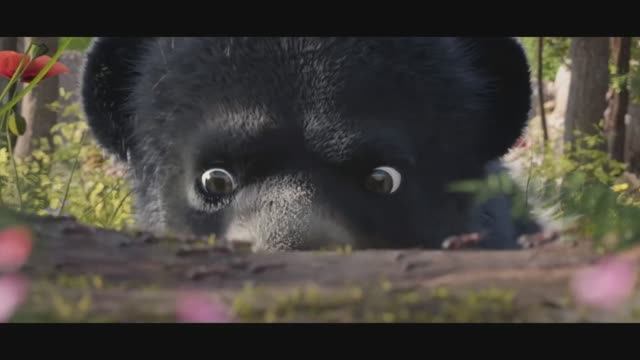 Медвежий переполох (фильм, 2023) трейлер смотреть онлайн
