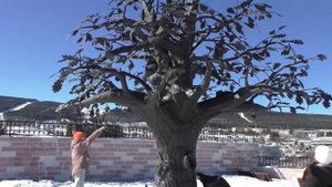 Елена Кузяева Елена Владимировна | ТОЧКА.РФ – МЕСТО | г. Златоуст