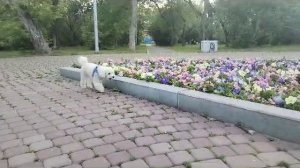 Красота