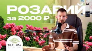 Создаю РОЗАрий за 2000 ₽ на балконе | BAZILICA