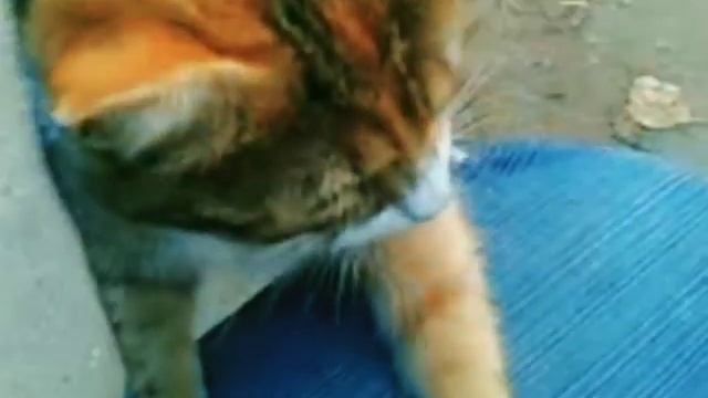 2022-01-28_480p_7058328889793301762