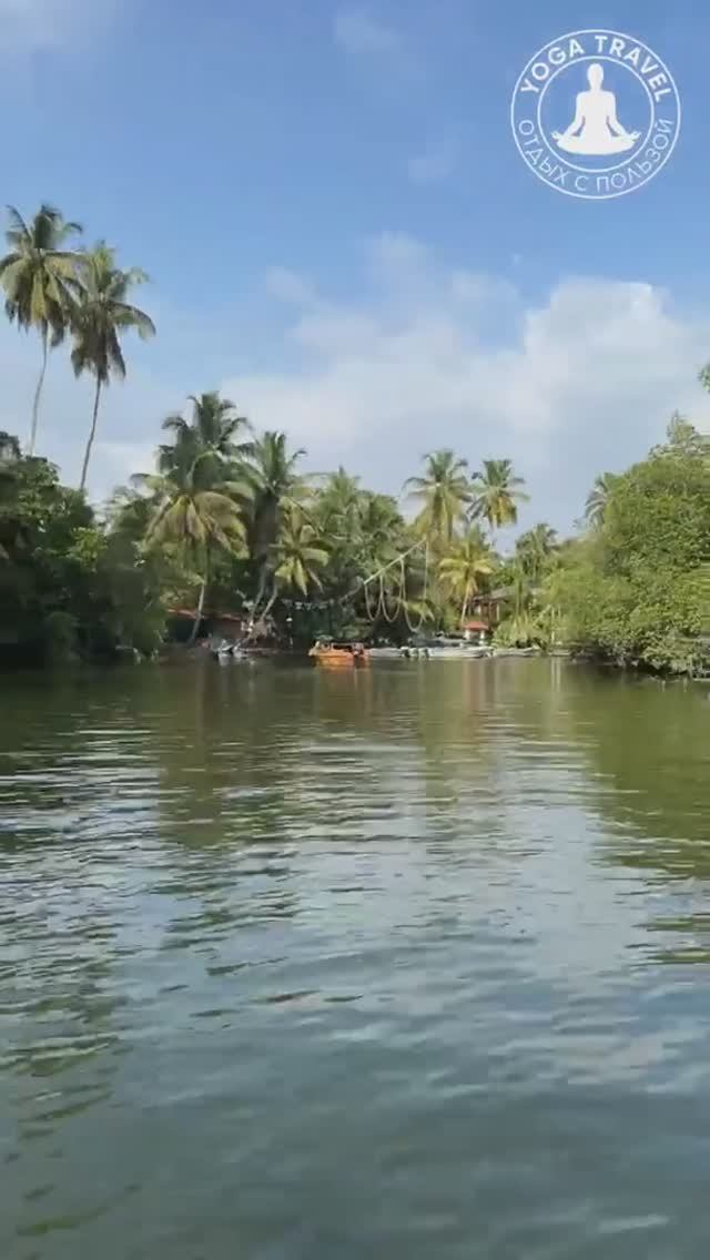 Шри-Ланка глазами наших путешественников — Йога Тревел смотреть онлайн