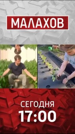 Садовые советы в программе Малахов