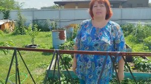 Как сделать опору для огурцов?