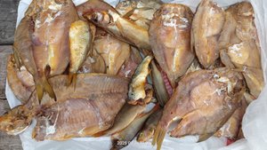 рыба холодного копчения