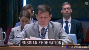 Д.А.Полянский на заседании Совета Безопасности ООН по ситуации в Сирии, Нью-Йорк, 28 июля 2025 года