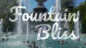 Fountain Bliss