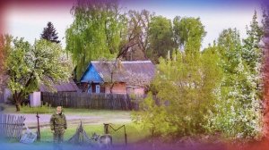 Вячеслав Анисимов – Волчонок