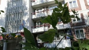 Влог от работы