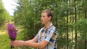 Добреев Андрей, 15 лет. Н. М. Рубцов. "Букет"