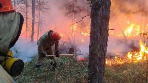 Более четырехсот природных пожаров ликвидировано в Якутии