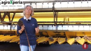 Уборка подсолнечника. Настройка жатки