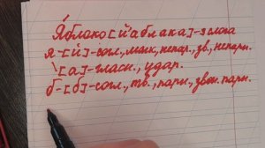 Звуко-буквенный разбор слова ЯБЛОКО. Как правильно разобрать?