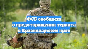 ФСБ сообщила о предотвращении теракта в Краснодарском крае