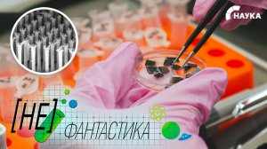 Российские ученые создали уникальные микроиглы, открывающие новые возможности в исследовании клеток