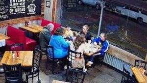 Нападения Животных, от Которых Мурашки по Коже !