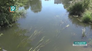 Четвертая трагедия на воде: в Старом Осколе сегодня утонул молодой мужчина