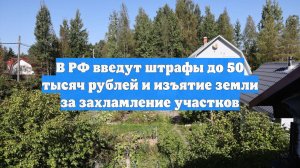 В РФ введут штрафы до 50 тысяч рублей и изъятие земли за захламление участков