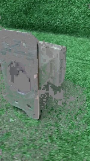 8038081