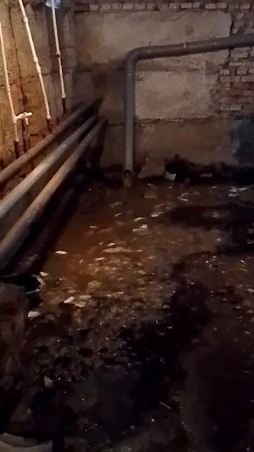 Жители жалуются на затопленный подвал на Лихачева, 4:  Топит подвал,третий день.Улица Лихачёва, д4.