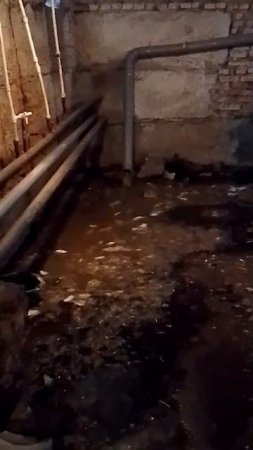 Жители жалуются на затопленный подвал на Лихачева, 4:  Топит подвал,третий день.Улица Лихачёва, д4.