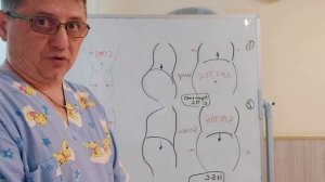 Четыре вида комплекции тела при хронических заболеваниях.