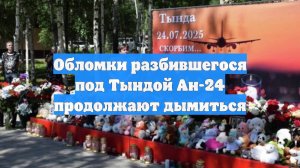 Обломки разбившегося под Тындой Ан-24 продолжают дымиться
