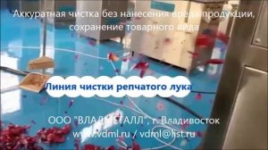 Линия переработки чистки репчатого лука срезание корней лука чистка лука от шелухи кожуры шкуры