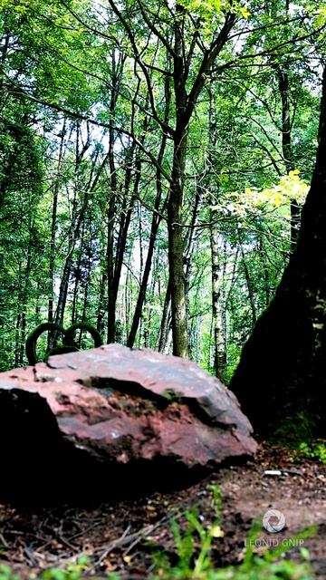 Парк Горького.