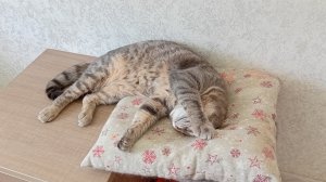 счастливый понедельник в деревне