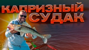 РЫБАЛКА с лодки. НОВЫЕ технологии GARMIN. Капризный судак. Ротатор PELORUS.PRO. Ништяки в лодке