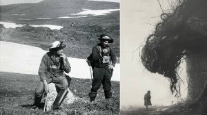 Вахтовик в тайге столкнулись с нечто