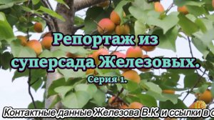 Репортаж из суперсада Железовых. Серия 1.