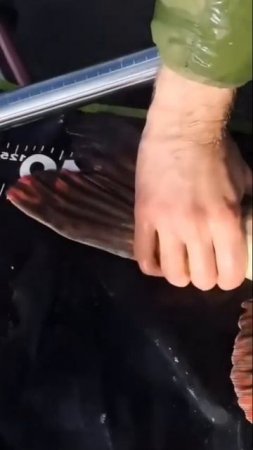 Зачётная мамка 👍