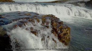 Сенсация! Трек из этого клипа покоряет YouTube - Budsbursting -- Podington Bear -- Said Lion To Lamb