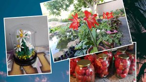 🌺Деревенская жизнь...зато не скучно😉🌺
