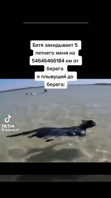 кот смотреть онлайн