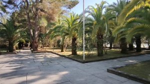 Абхазия Цитрусовый совхоз Пансионат Сосновая роща 28 июля 2025 г.