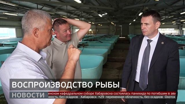 Анюйский рыбозавод: увеличить воспроизводство осетра. Новости. 28/07/2025. GuberniaTV
