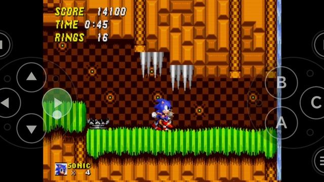 Sonic the hedgehog 2.