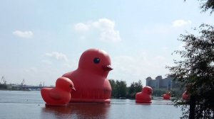 вид на Южный Порт, с Дикого Пляжа.