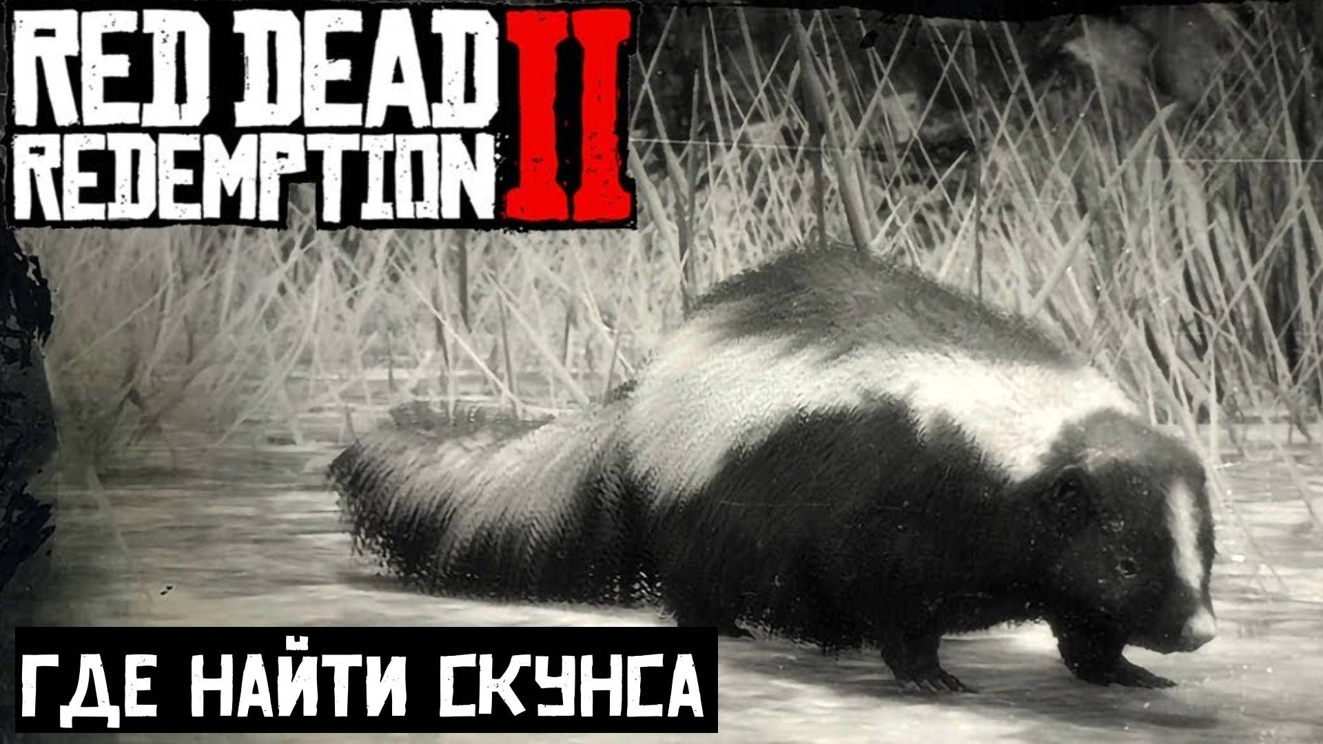 Где найти Скунса в Red Dead Redemption 2 смотреть онлайн