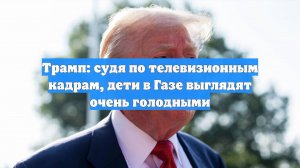 Трамп: судя по телевизионным кадрам, дети в Газе выглядят очень голодными