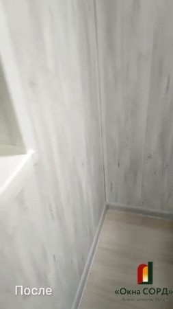 video1748184907.6162481