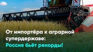 От импортёра к аграрной супердержаве: Россия бьёт рекорды!